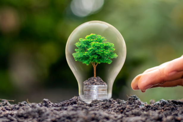 Fernando Trabach Filho