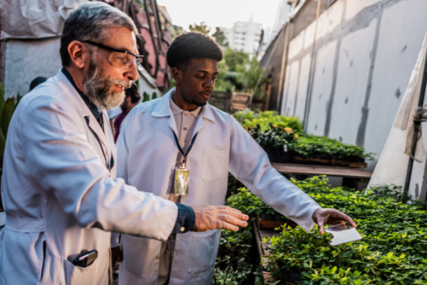 Luciano Guimaraes Tebar analisa o impacto da biotecnologia agrícola nos investimentos internacionais.