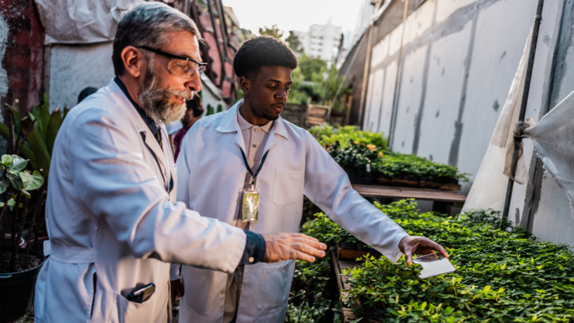 Luciano Guimaraes Tebar analisa o impacto da biotecnologia agrícola nos investimentos internacionais.